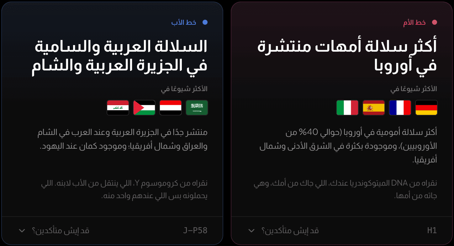خط الأم وخط الأب